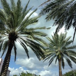 Meet your Posher, Mia